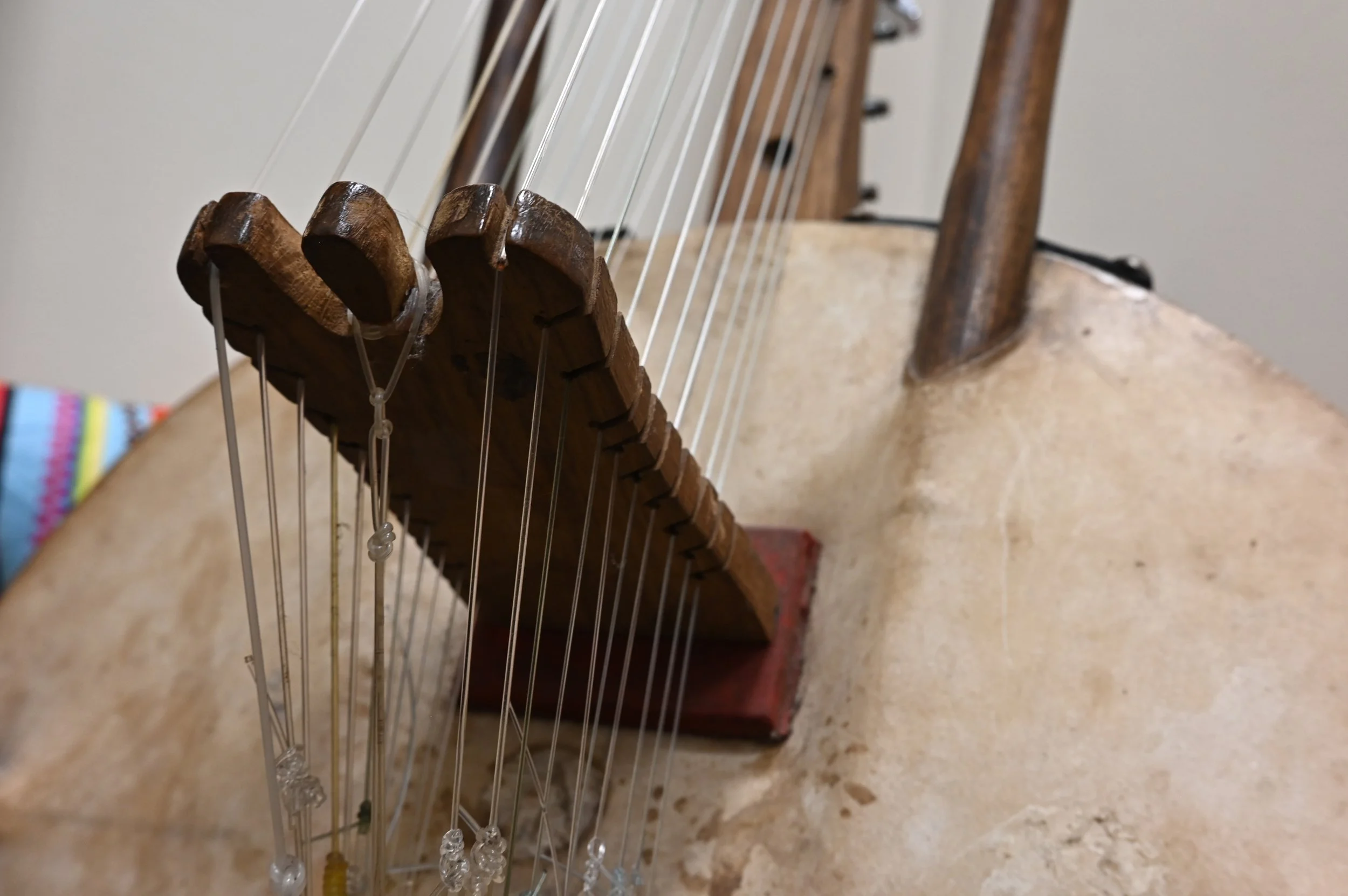 Close-up of the strings and wooden soundboard of a harp with a blurred background.