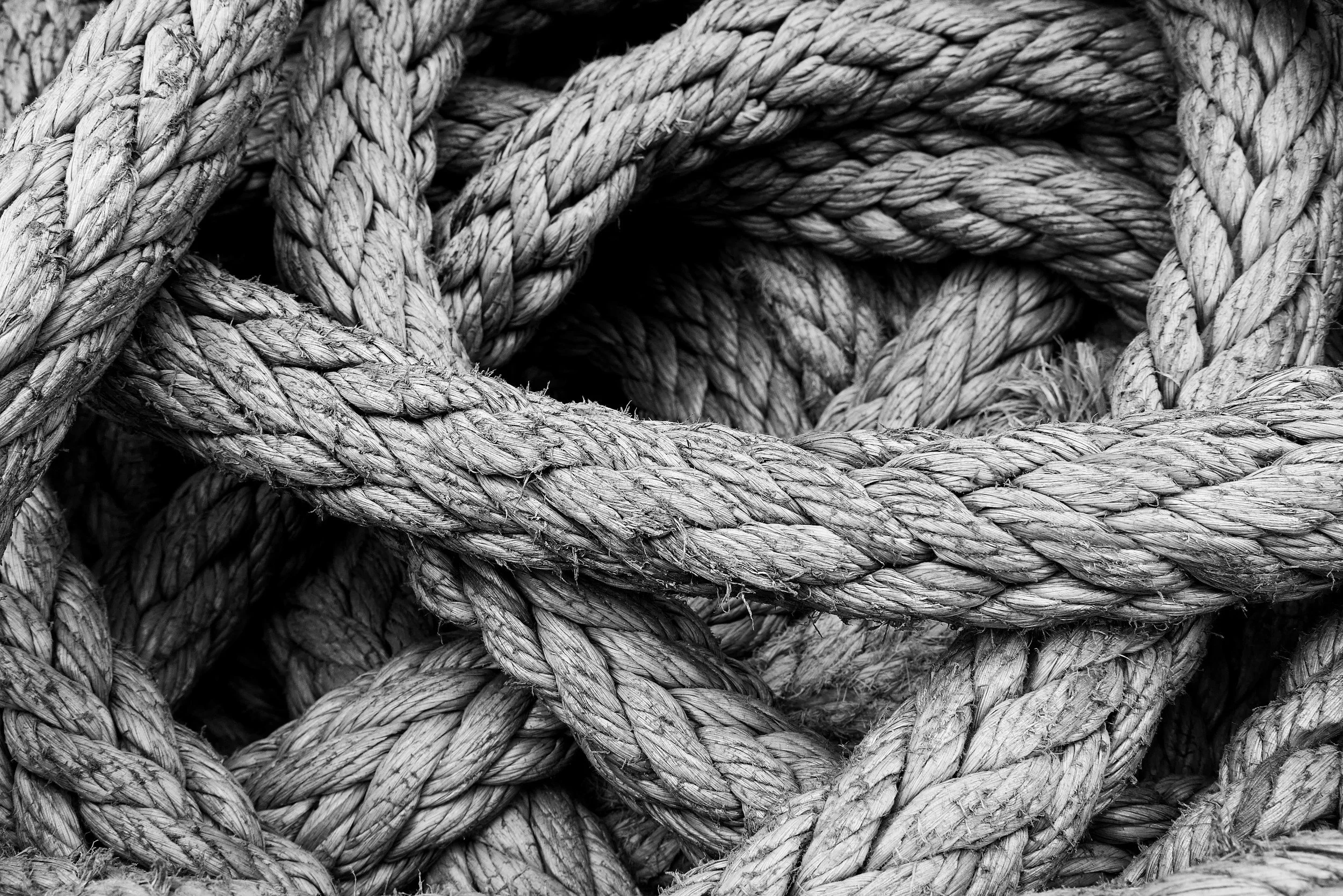 Tangled thick ropes twisted together in a messy pile, black and white photo.
