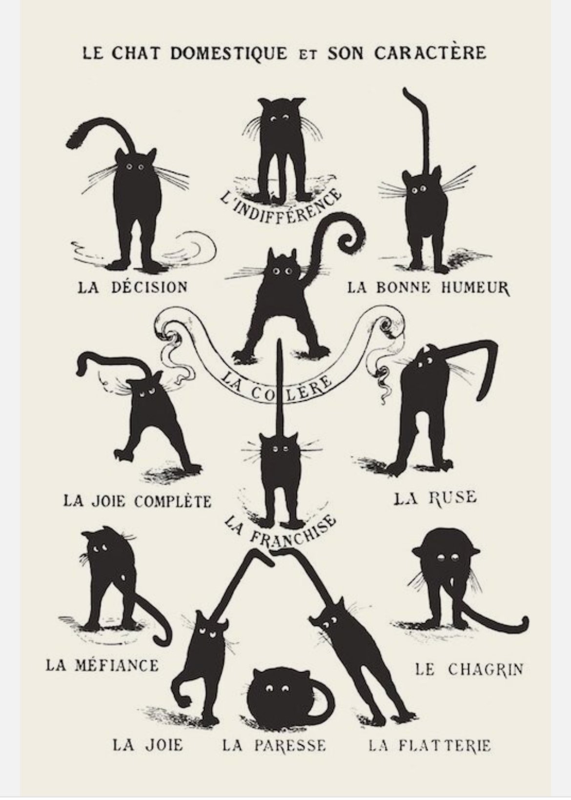 Les Chats