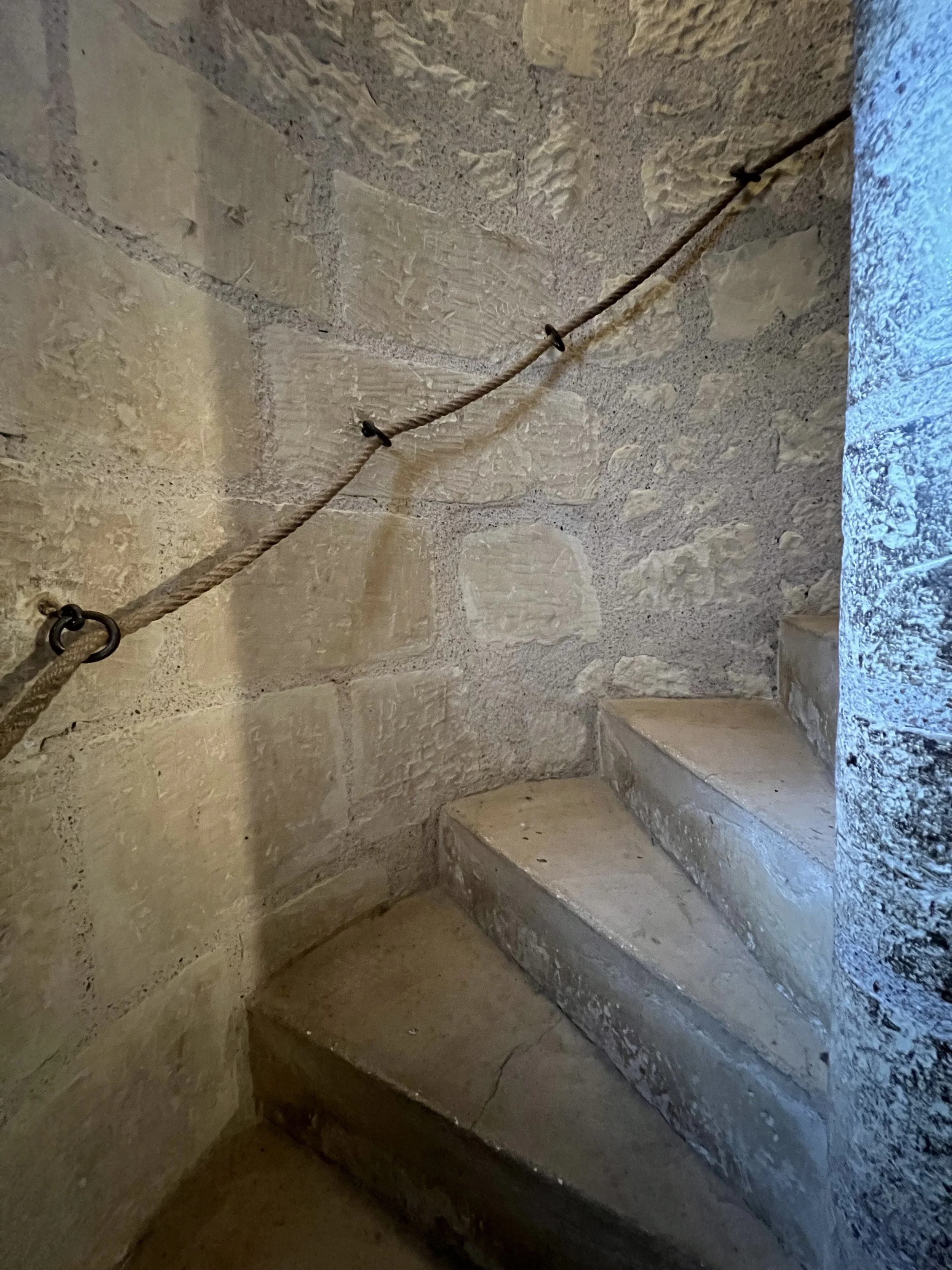 Chateau with Beauties