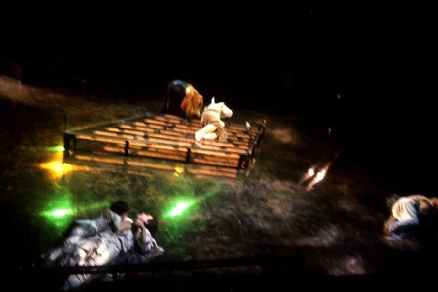 Midsummer-1a.jpg