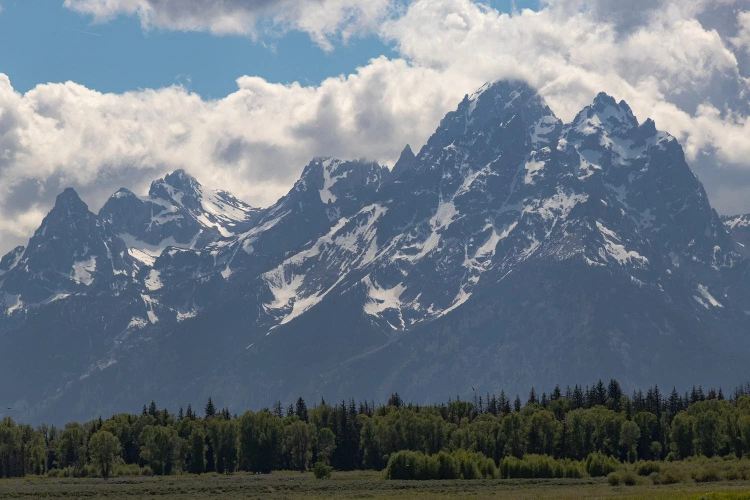 Grand Tetons I
