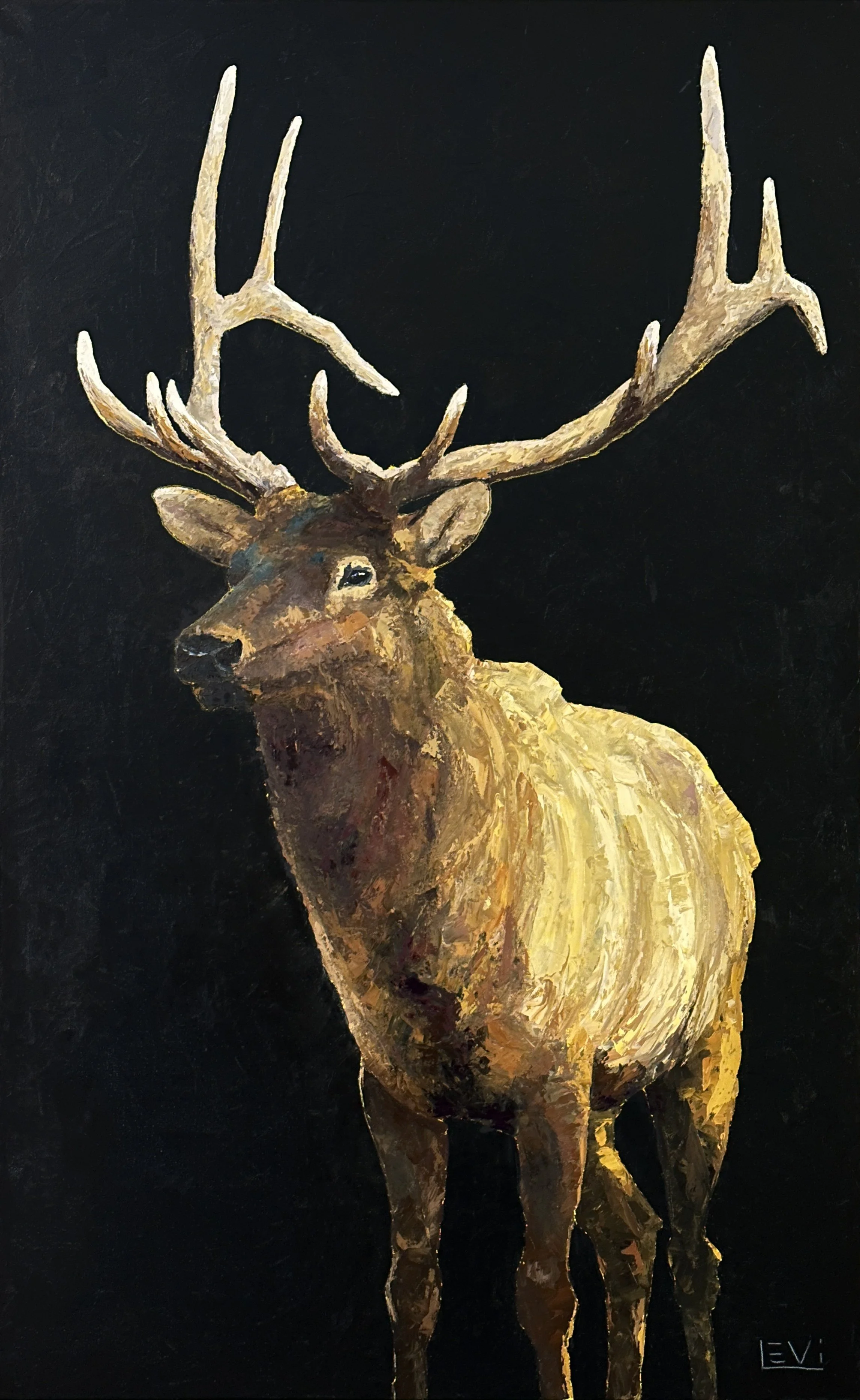 The Bull - 
Aspen Emporium - 36×48” Oil