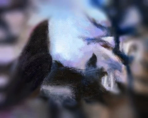 Birds in silhouette, early morning.