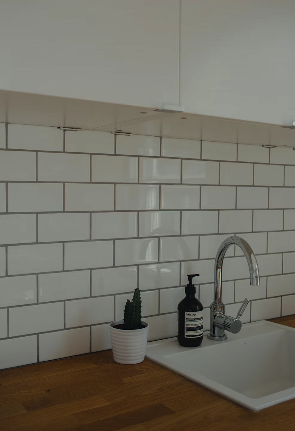 Kitchen sink with a potted cactus and a bottle of Aesop hand soap on a wooden countertop against a white subway tile wall.