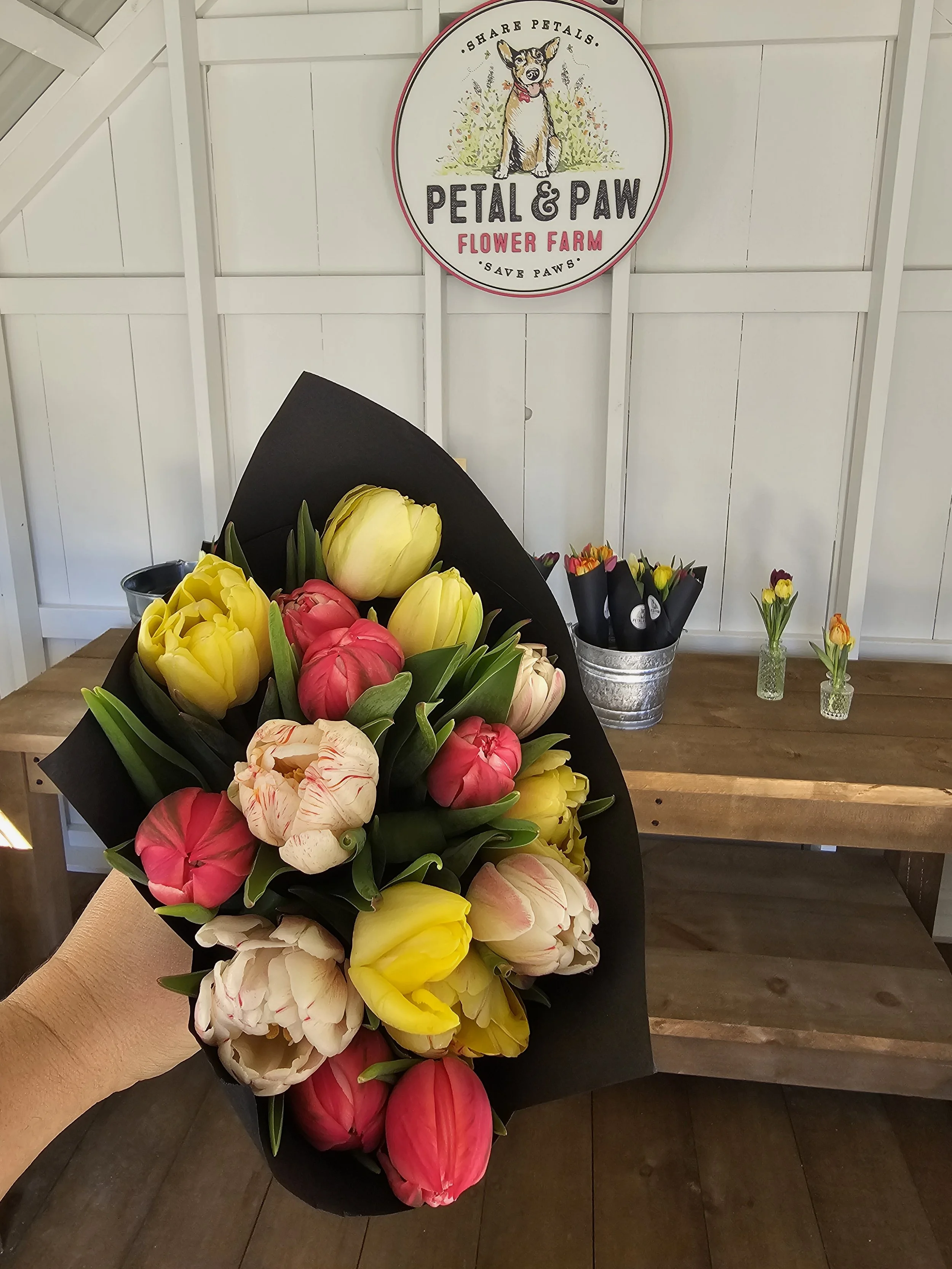 "The Daisy Mae" Premium Bouquet