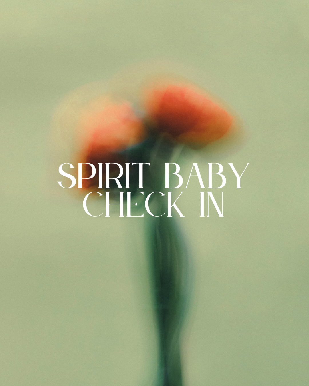 Spirit Baby Energy Check in