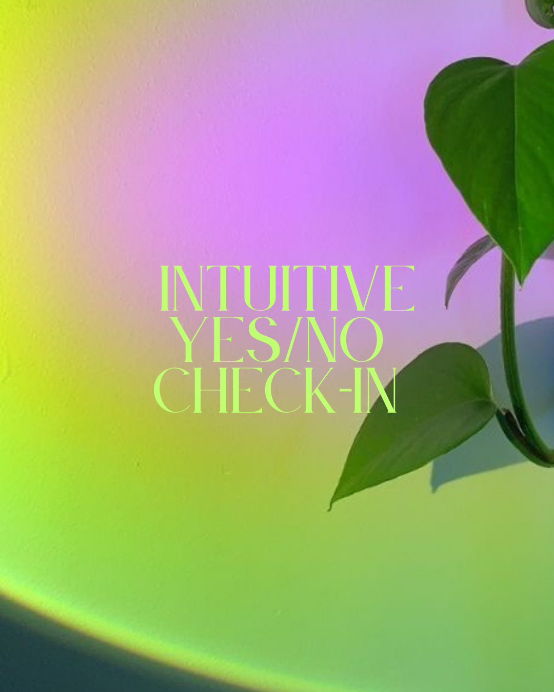 Intuitive Yes/No Check-In