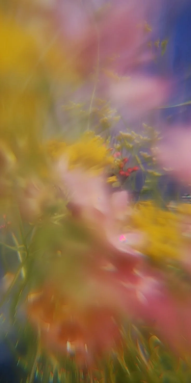 Mini Fertility Guidance Reading