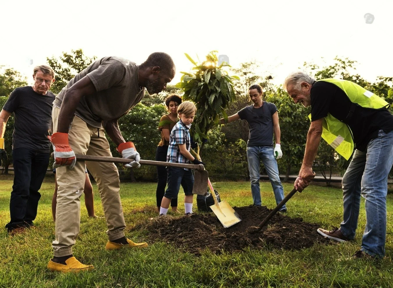 Occupational Therapy for Community Engagement