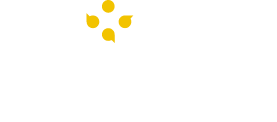 The Roadie Clinic