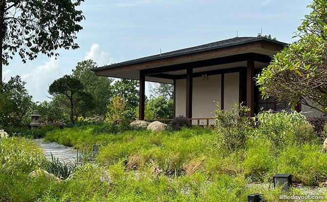 Nature therapy walks at Japanese Garden.