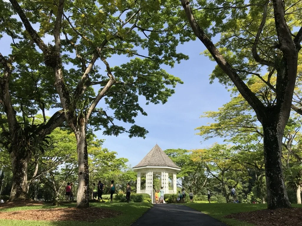 Nature based therapy walks at UNESCO Heritage Site at the Singapore Botanic Gardens
