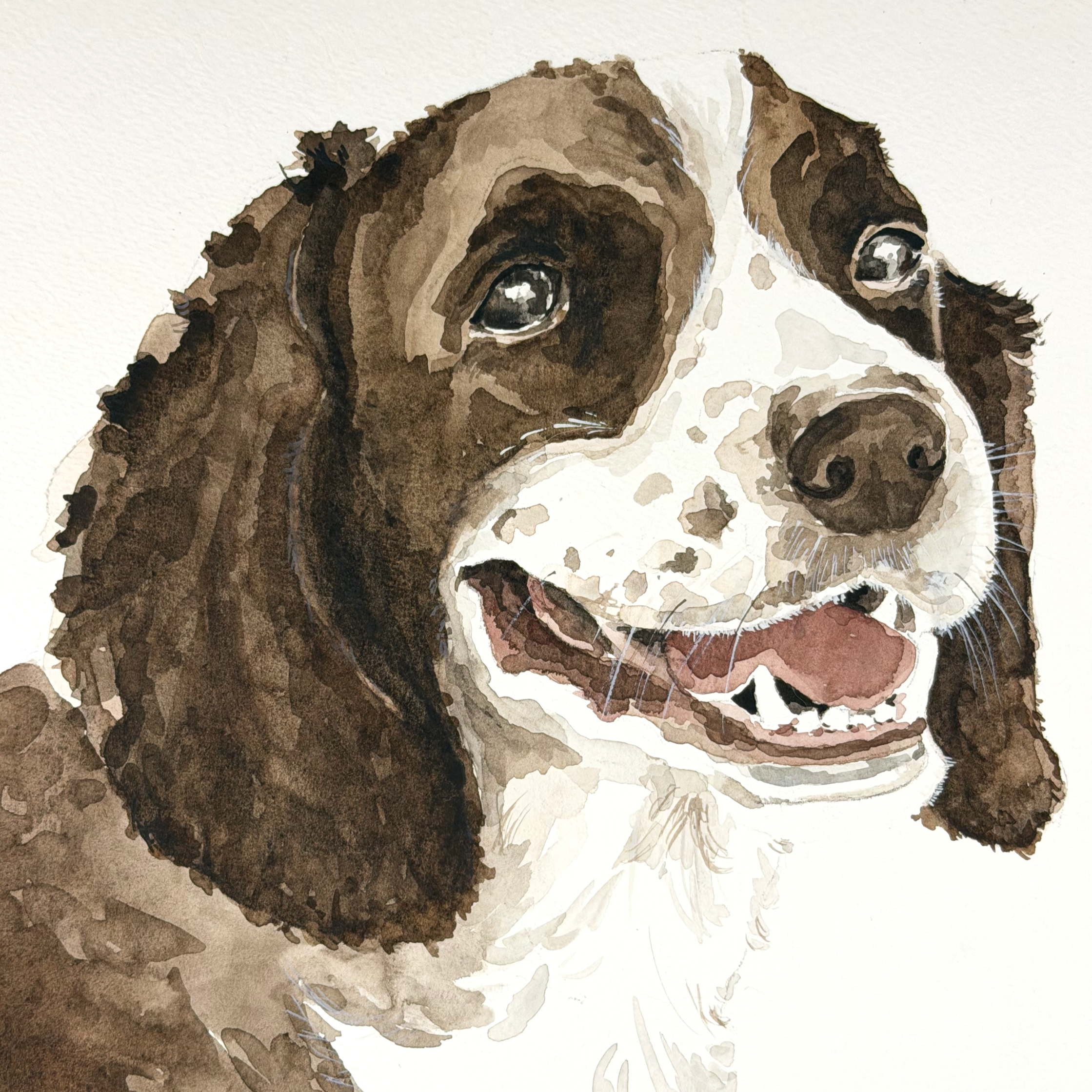 IMG_0052.png