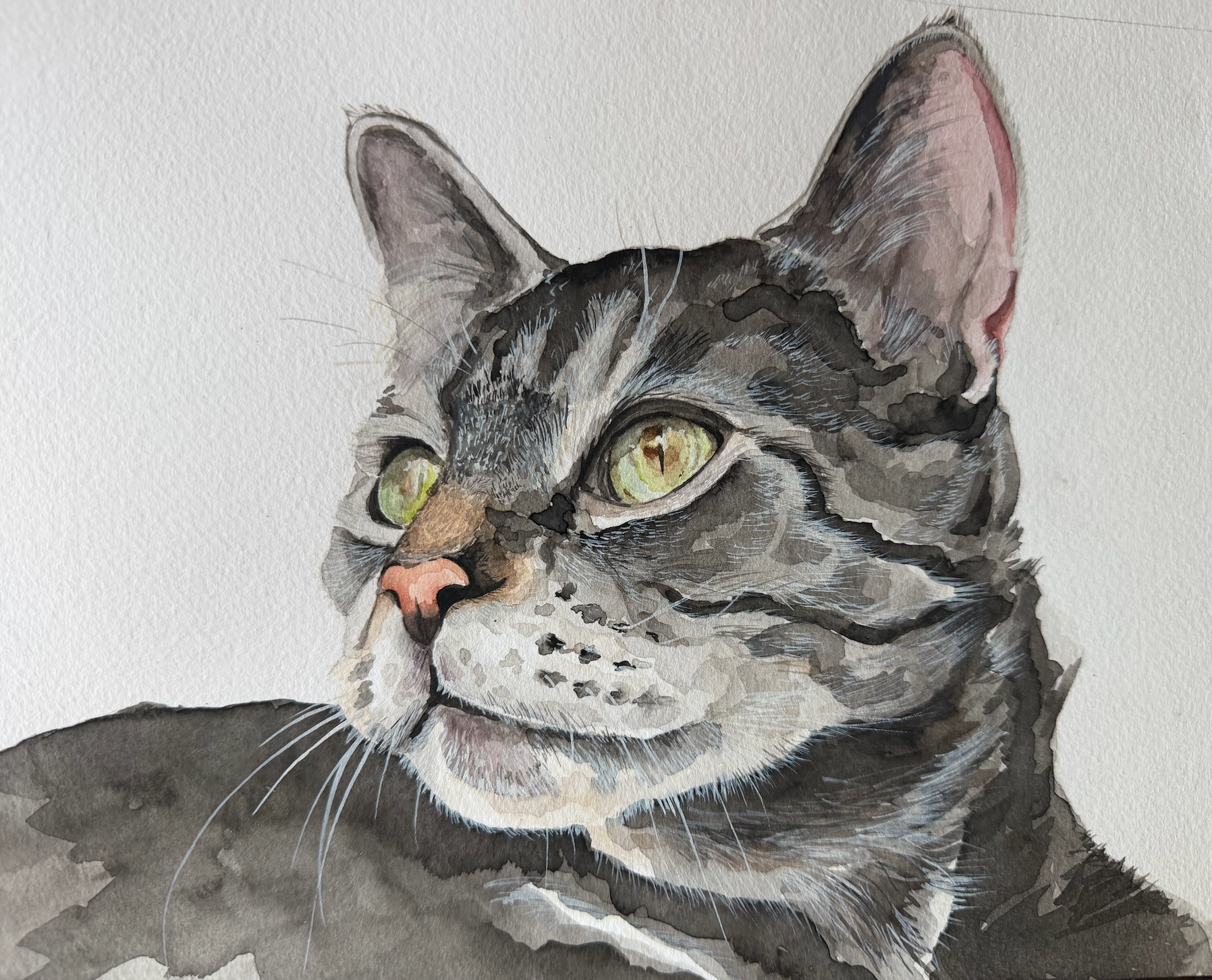 Screen Shot 2026-03-11 at 3.29.07 PM.png