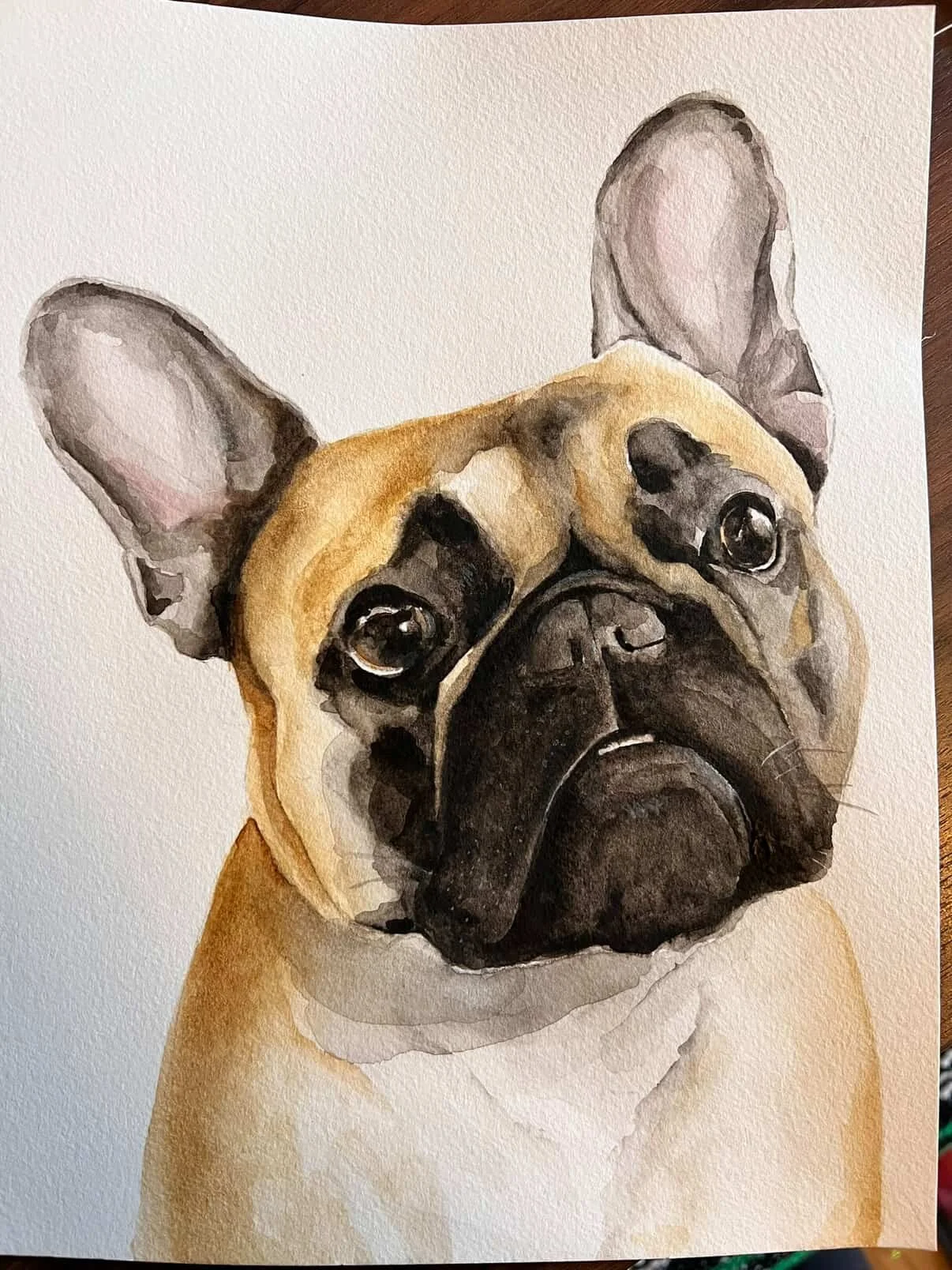 Watercolor painting of a French Bulldog with large ears and expressive eyes.