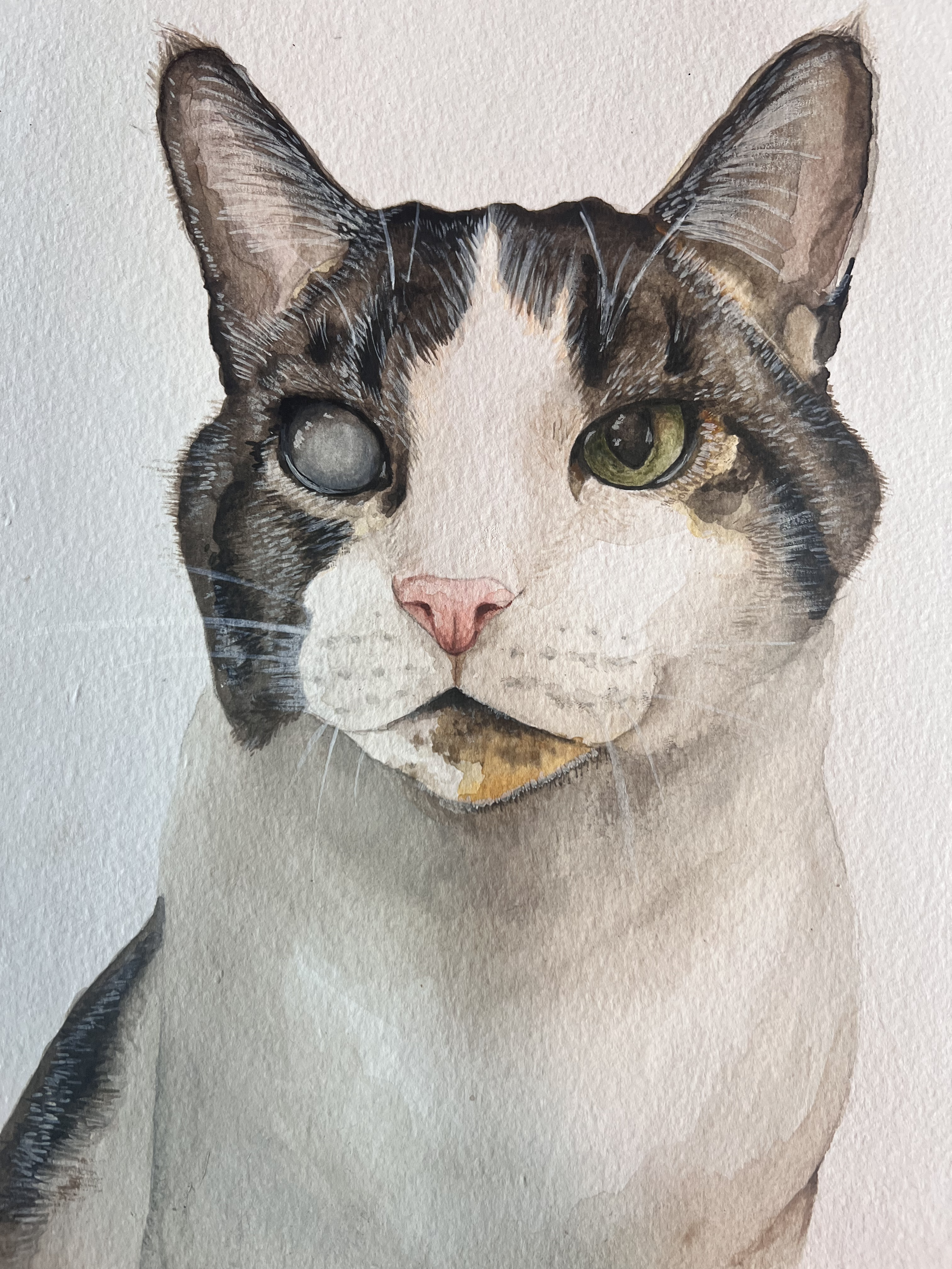 Watercolor painting of a cat with heterochromatic eyes, one eye gray and closed, the other green open, with a pink nose and a mix of white, brown, and black fur.