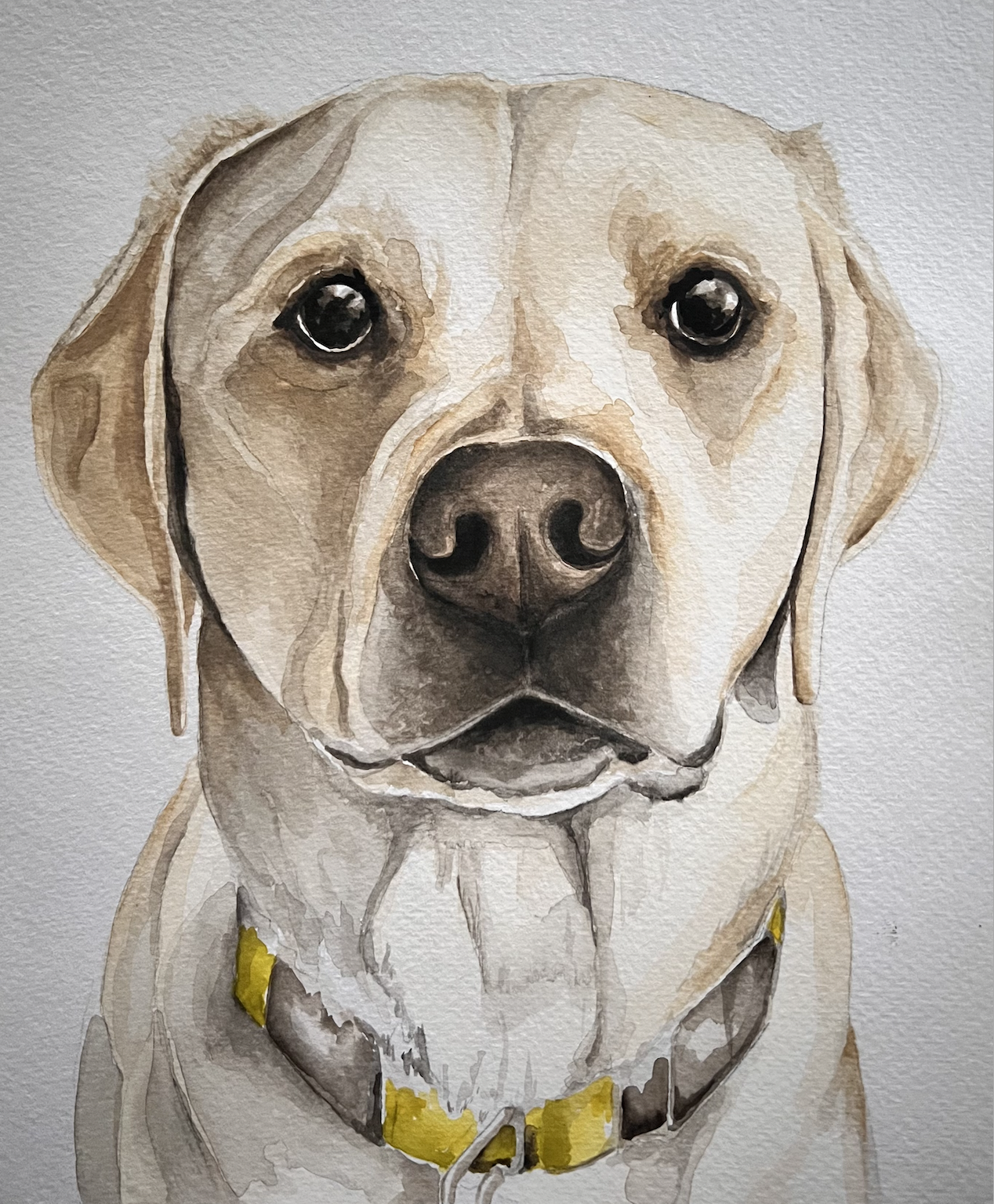 Screen Shot 2026-03-09 at 12.27.49 PM.png