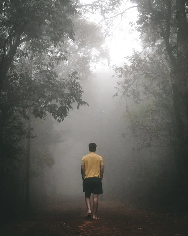 Someone moves slowly down a misty trail, barefoot in the quiet woods, creating a moment that feels solitary and introspective.