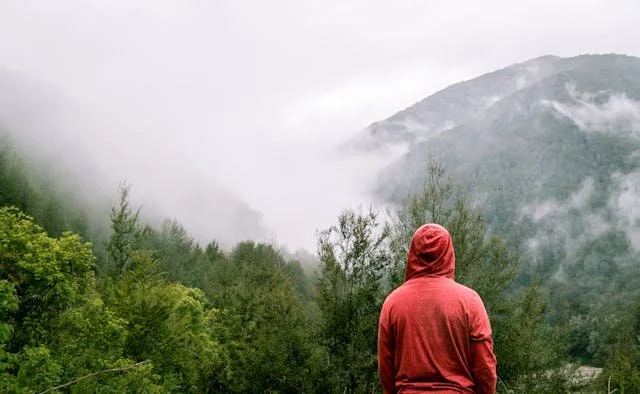 Facing a fog‑covered mountain landscape, a person pauses among dense green trees, creating a moment of calm reflection.
