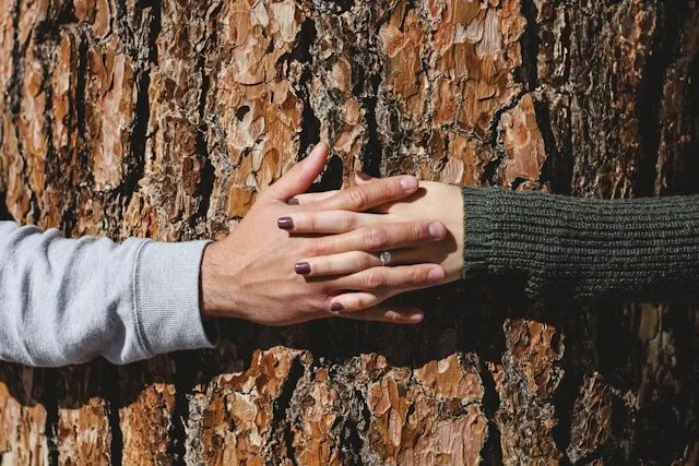 Hands from two people meet palm to palm on a tree trunk, suggesting shared steadiness and connection.