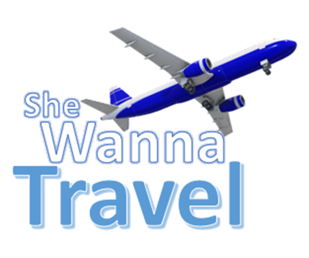 Blue airplane flying above the words "She Wanna Travel" in blue and gray text.