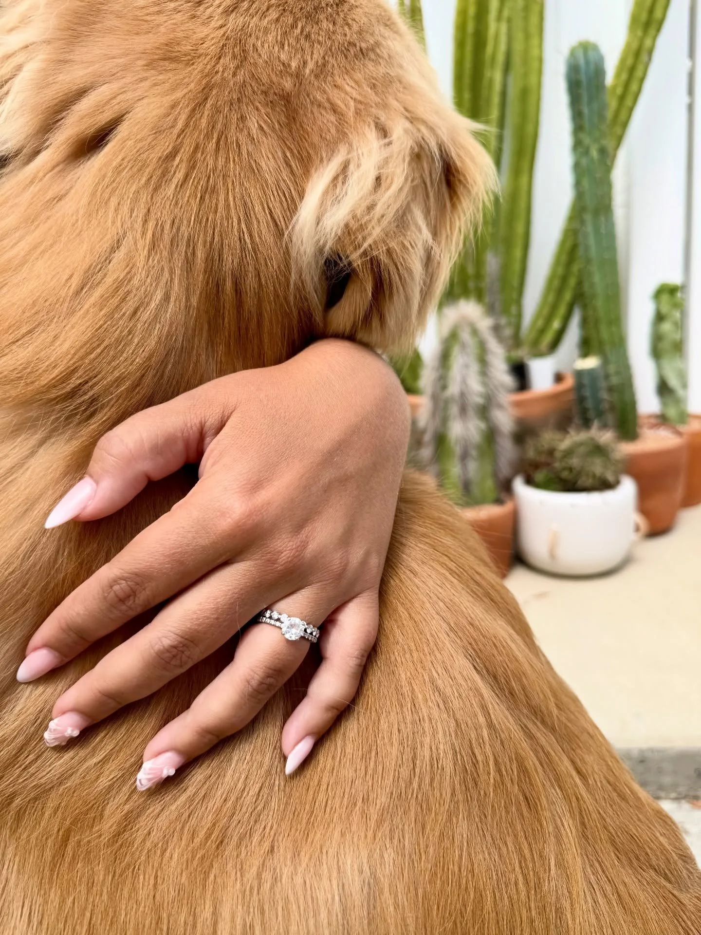 The ring is cute but have you seen the dog?! 💍🐶