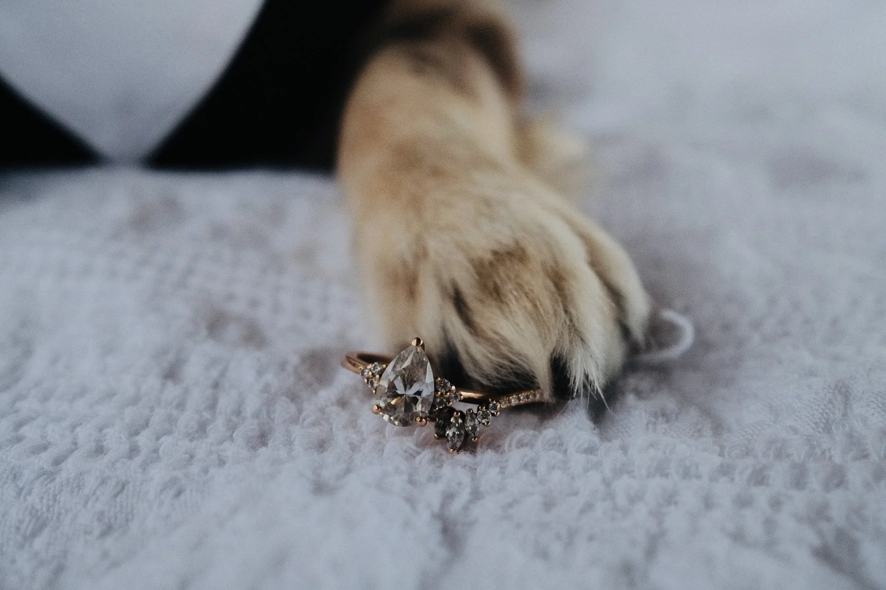 Close-up of a paw of a cat resting on a white textured surface with a ring featuring a large pear-shaped gemstone and smaller stones. The background shows part of a person's leg wearing black and white clothing.