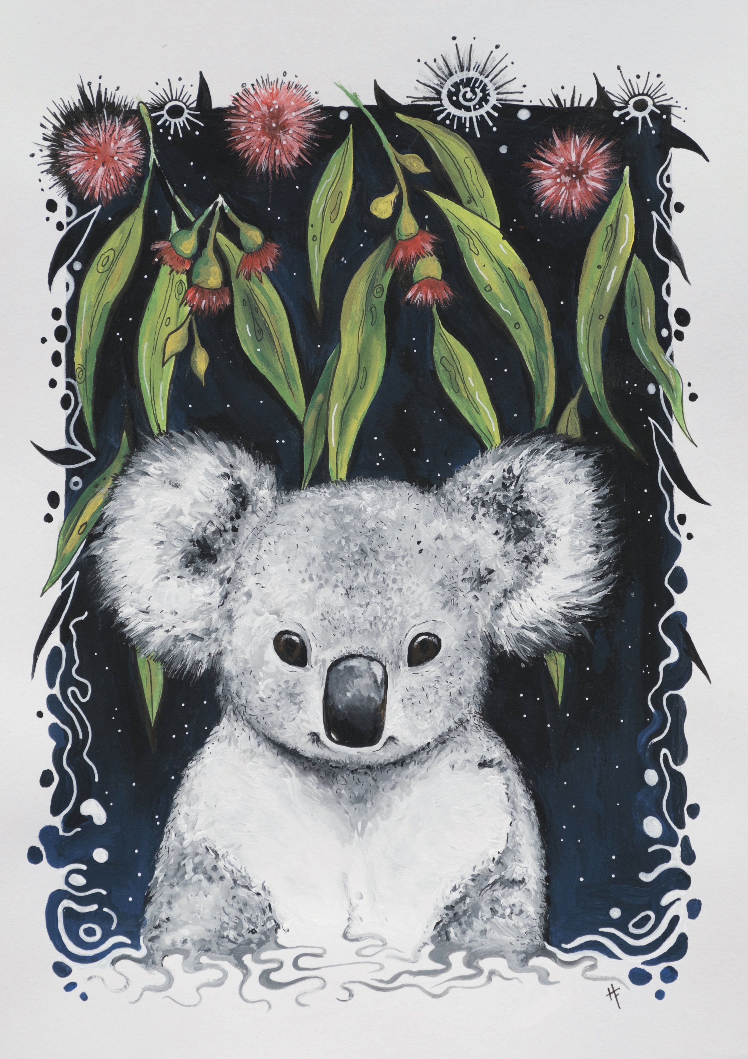 Koala