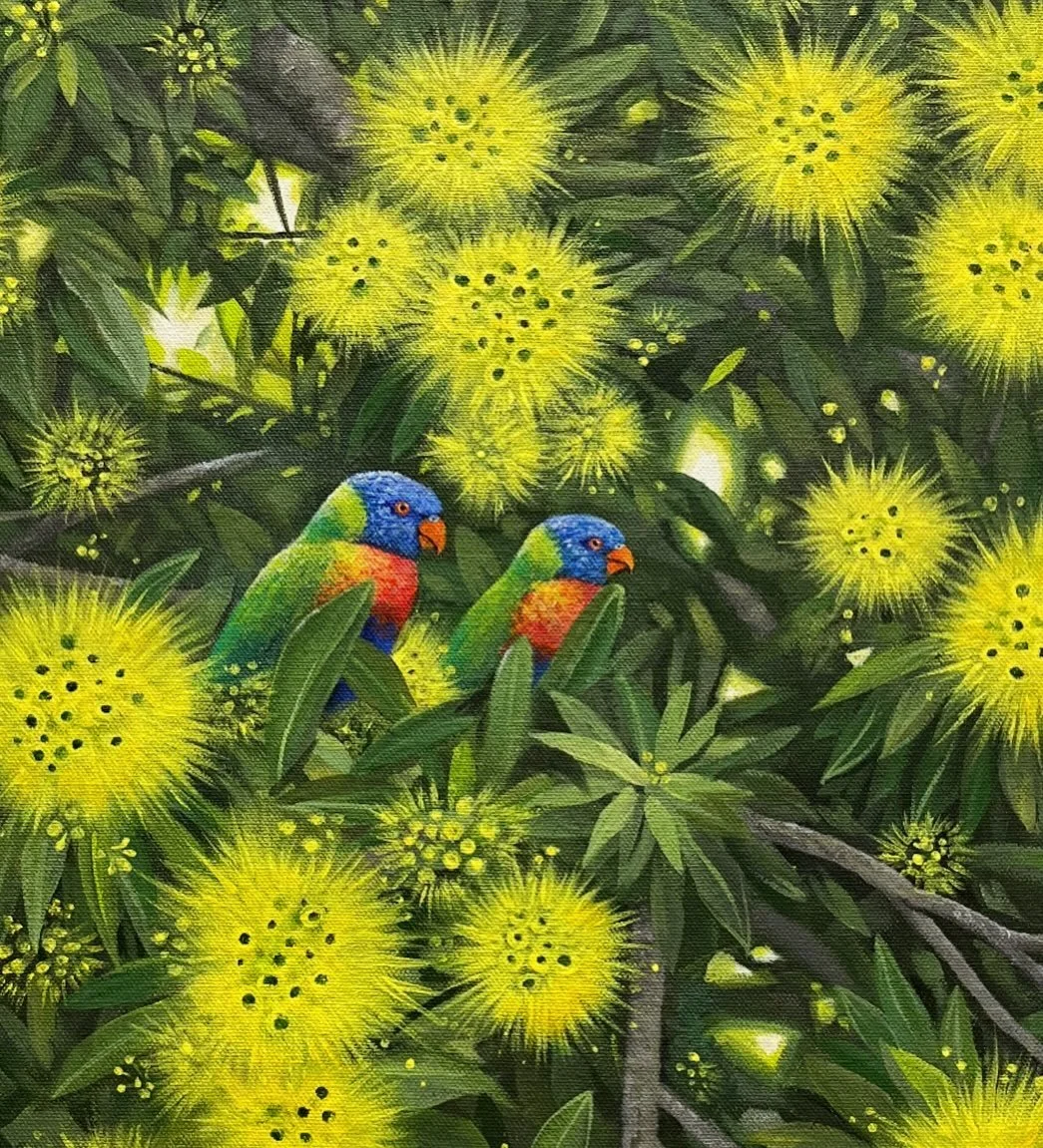 The rainbow lorikeets sold last weekend at Bello markets to Daryl who was a few stalls down selling honey. 
I sewed the canvas and created this painting using acrylics. My inspiration came from a photo @danieljhureea posted, thankyou.
The lorikeets a