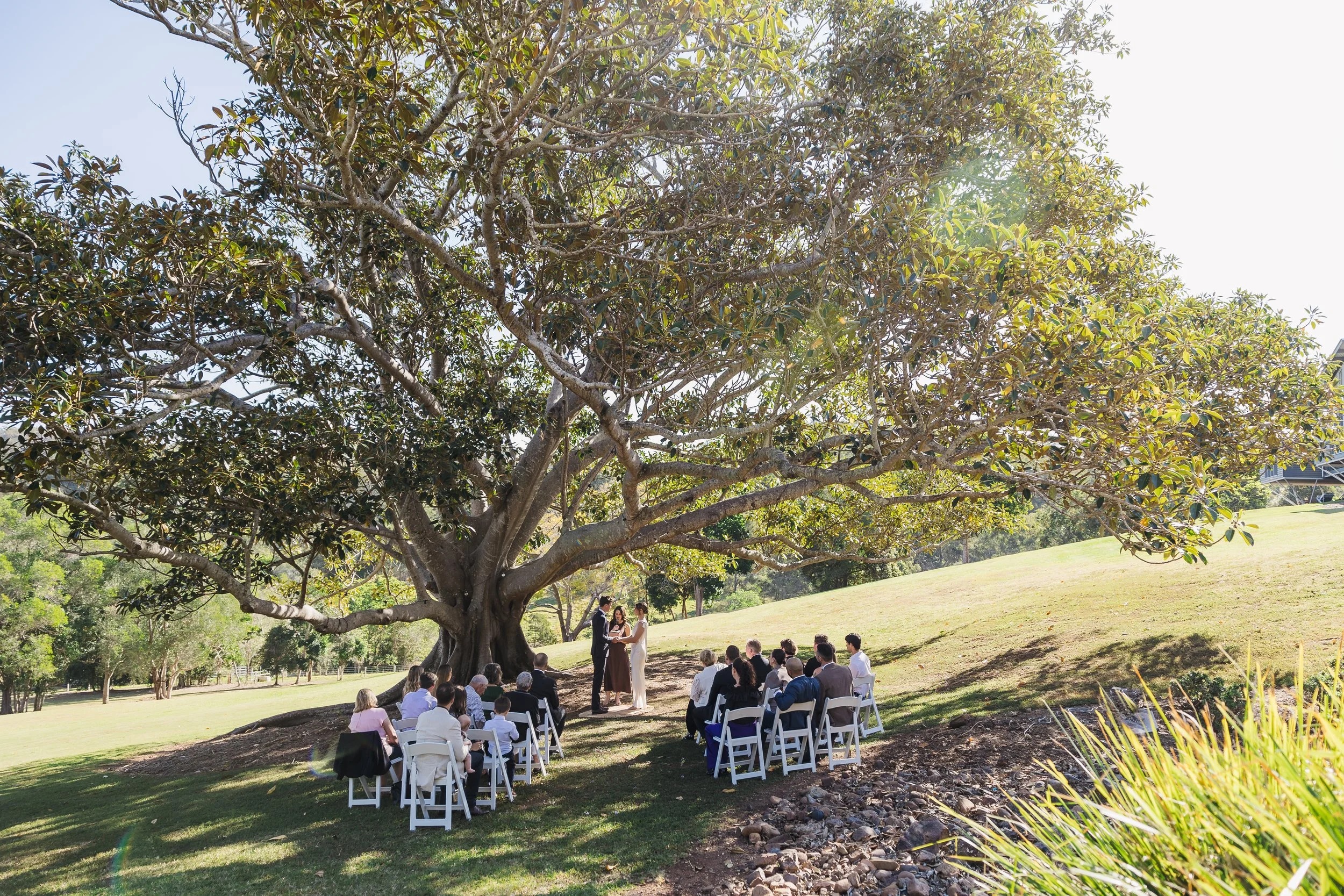 Sunshine Coast Wedding Celebrant Amy McDonald, Officiating  a Wedding Ceremony on a grassy hill with a small gathering of guests under the shade of a large tree.