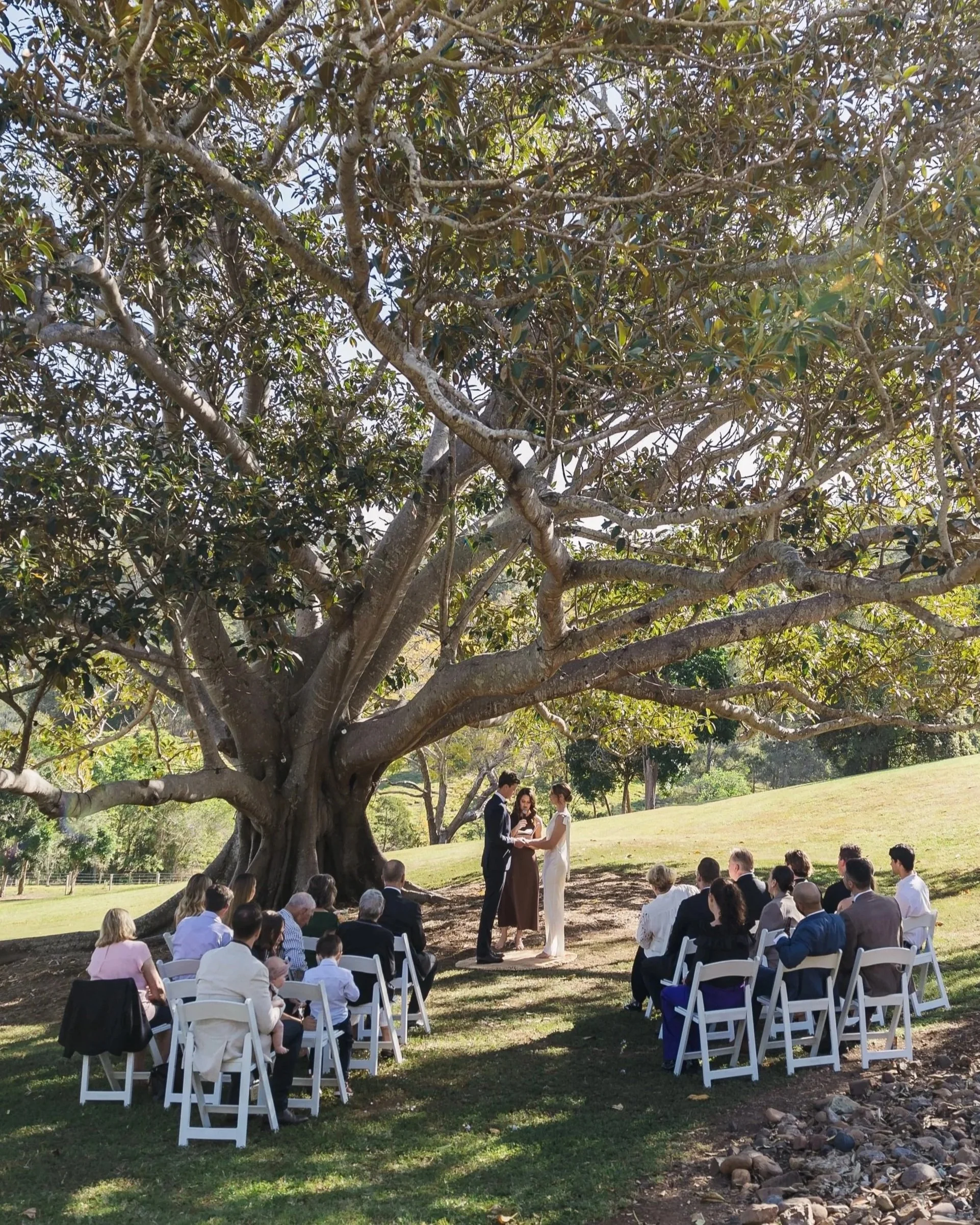A wedding ceremony taking place outdoors under a large tree with many branches. The bride and groom stand facing each other with Sunshine Coast Civil Celebrant Amy McDonald standing behind them, surrounded by seated guests.