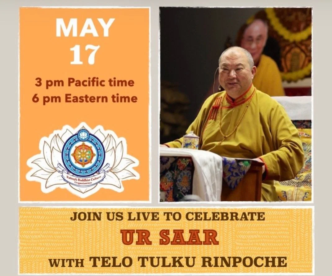Meeting Telo Tulku Rinpoche