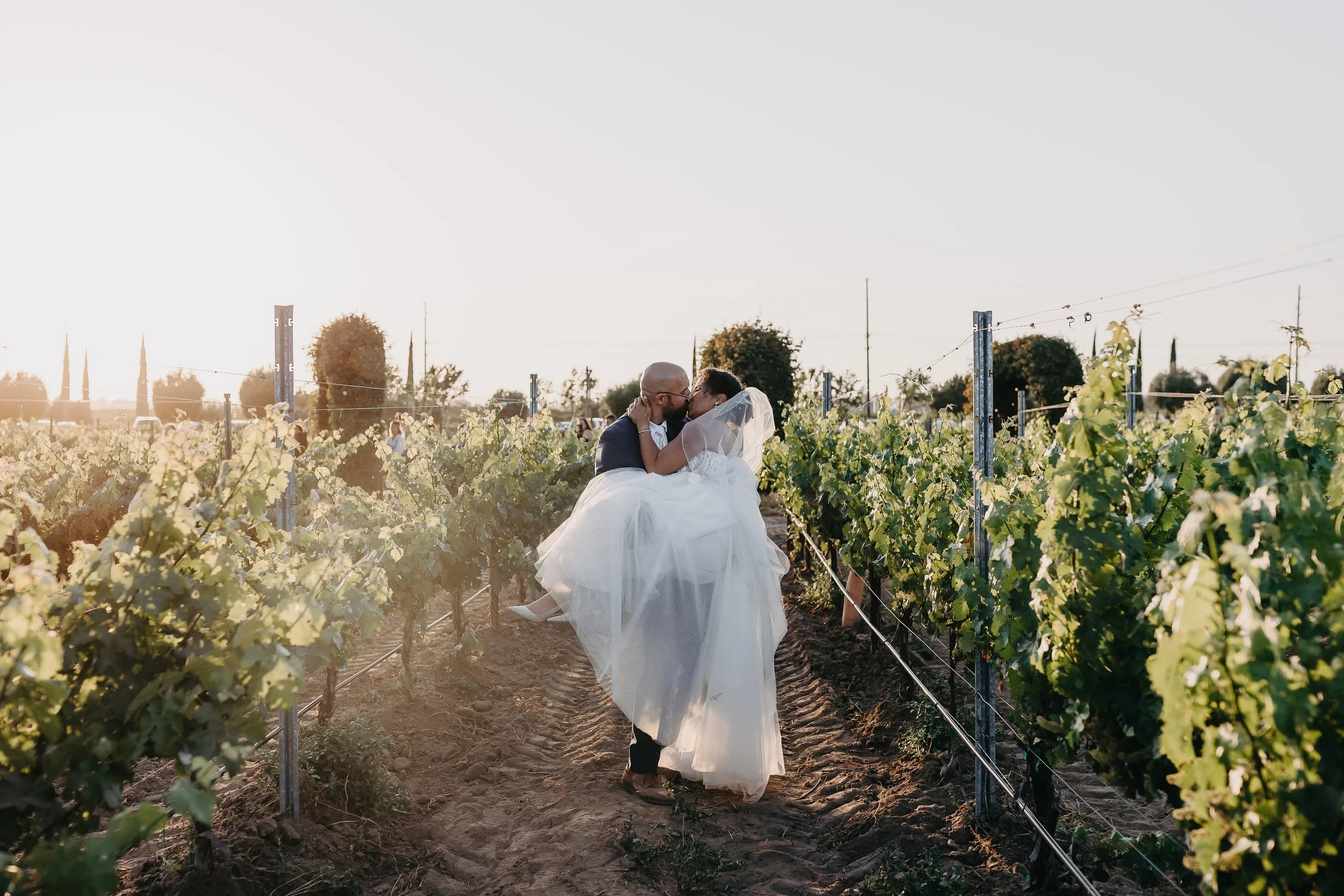 Newlywed portraits during golden hour at Ponte Winery in Temecula