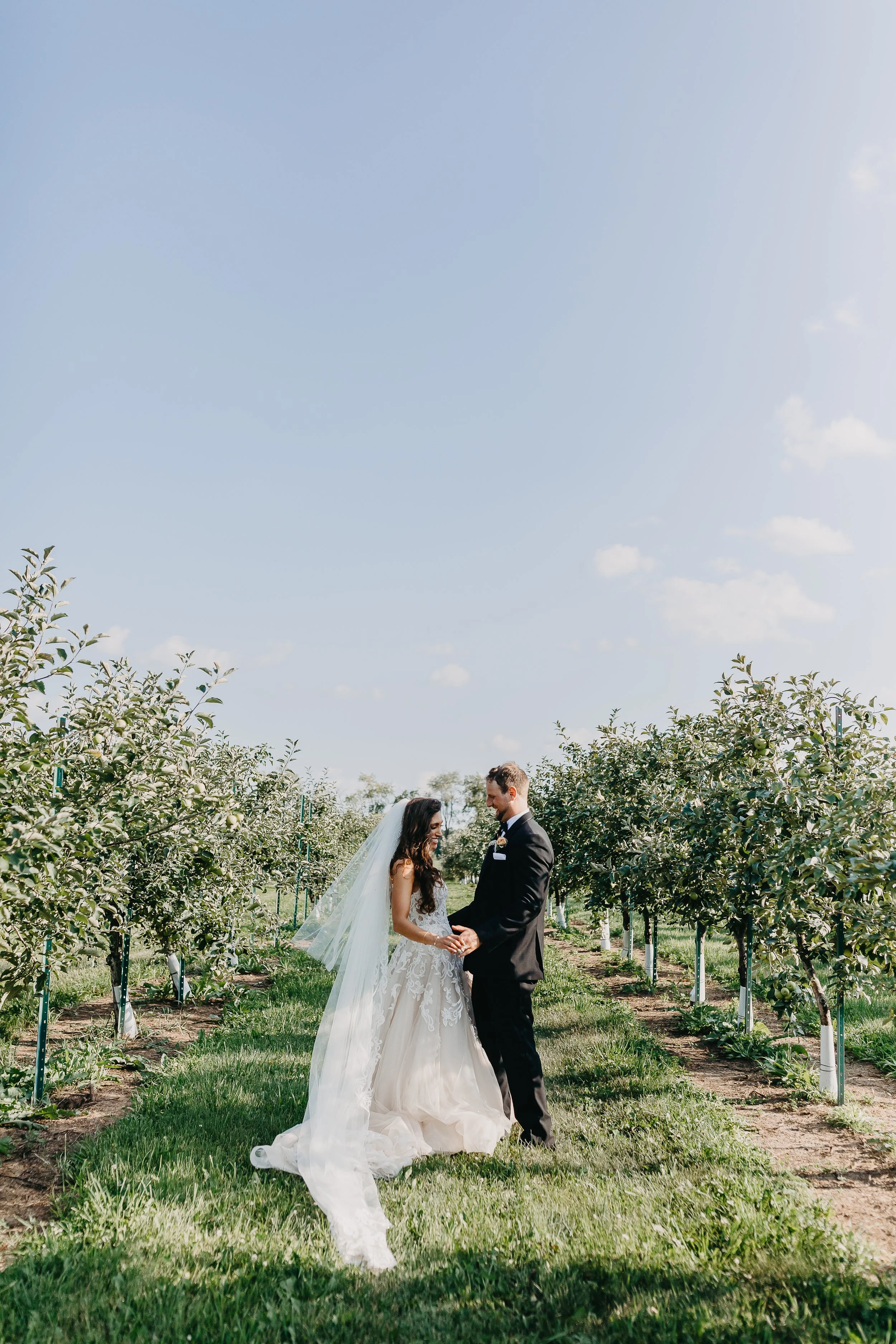The beautiful bride and handsome groom in between olive trees in Illinois. 