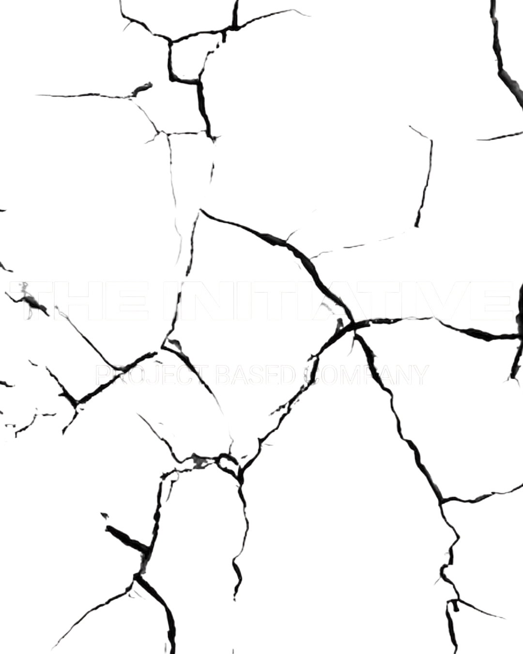 The Initiative