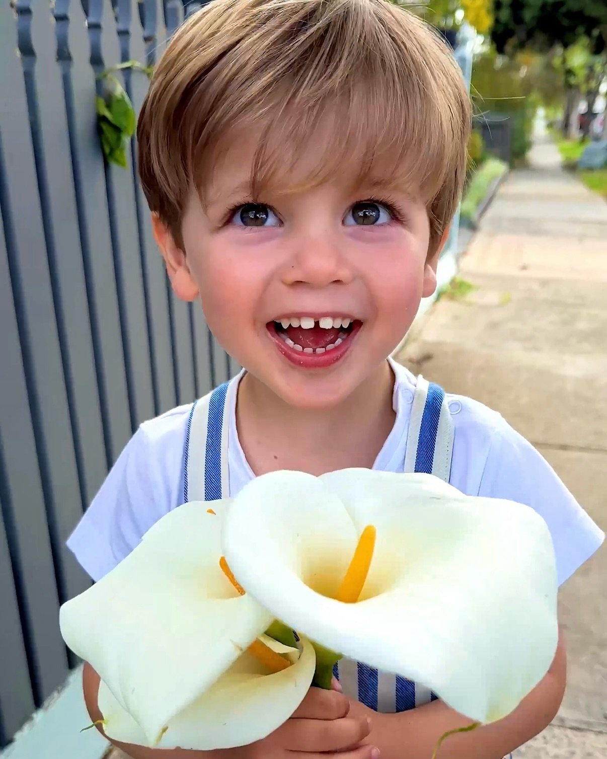 October Glimmers ✨✨