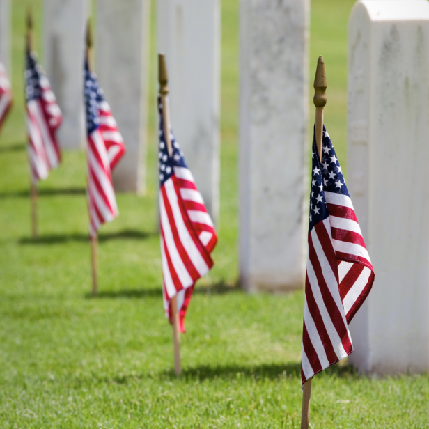 Multiple small American flags on wooden sticks placed in the ground in a row, with white headstones in the background, inside a cemetery.