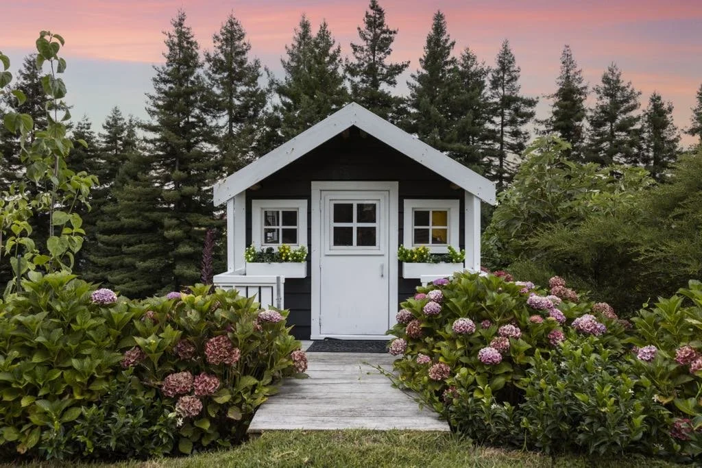 12d1880d-fcbd-44aa-ac25-cd4ed2282adc (1).jpg