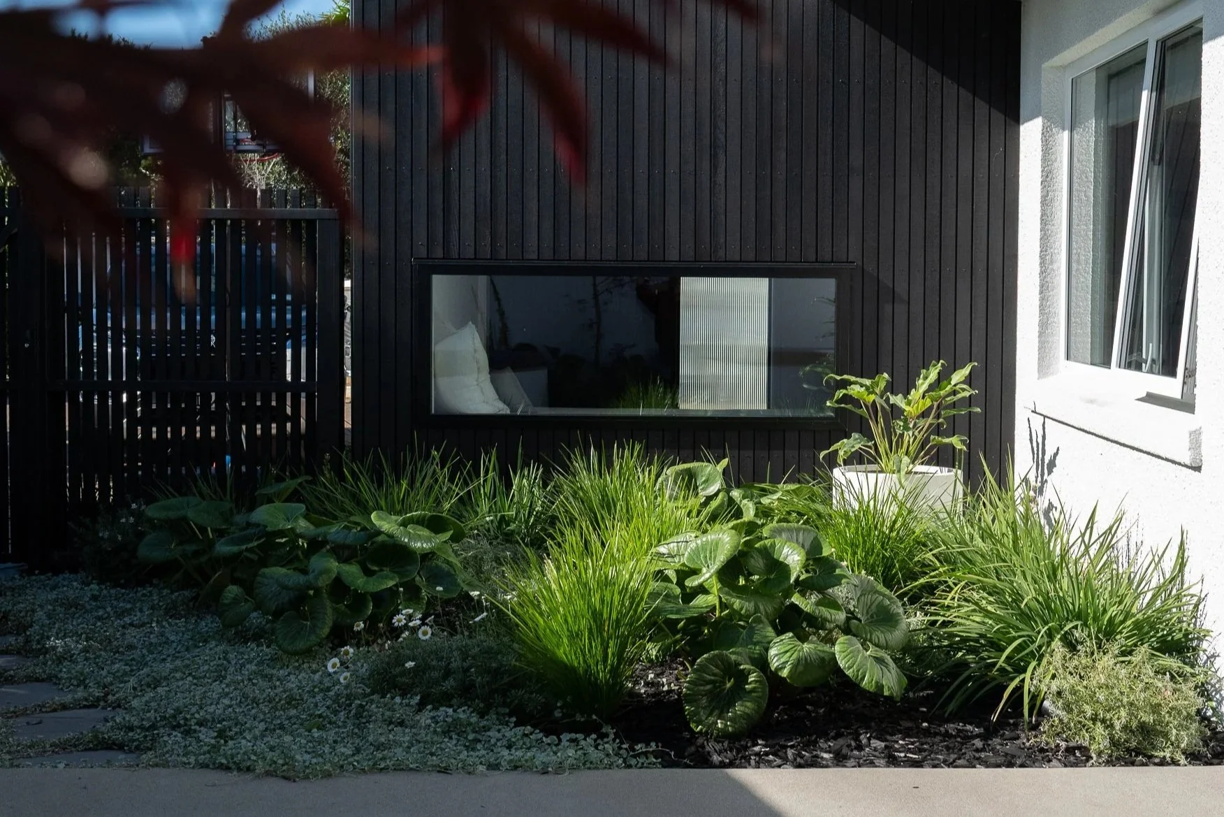 A modern house exterior with black wooden siding, a rectangular horizontal window, a white wall with a window, and a garden with green plants and flowers.