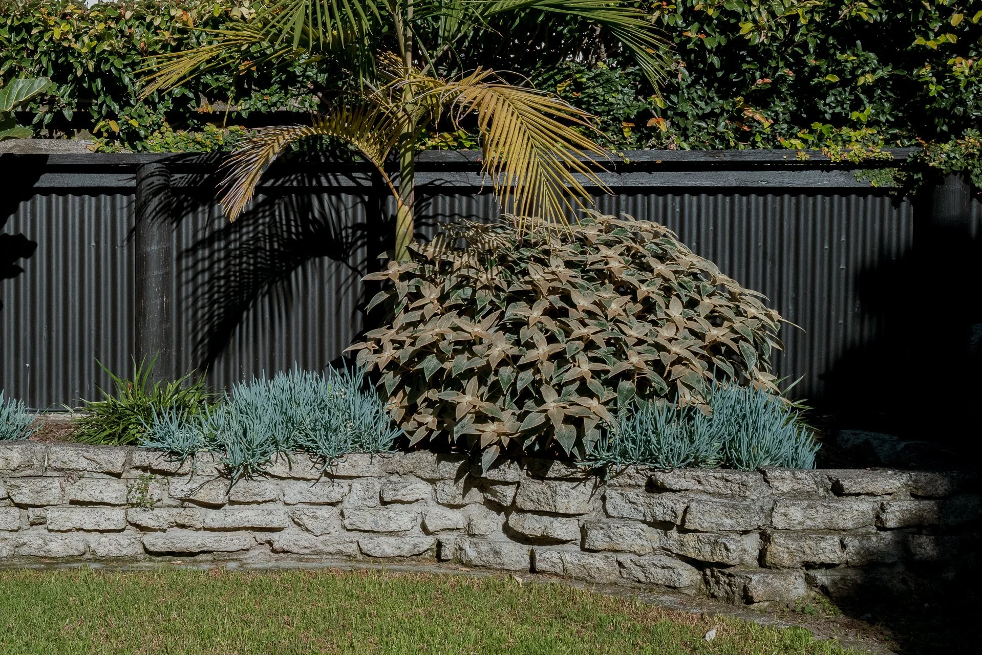 Garden Website-4.jpg