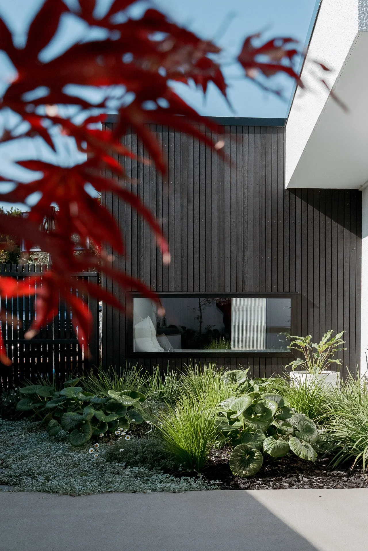 Garden Website-44.jpg