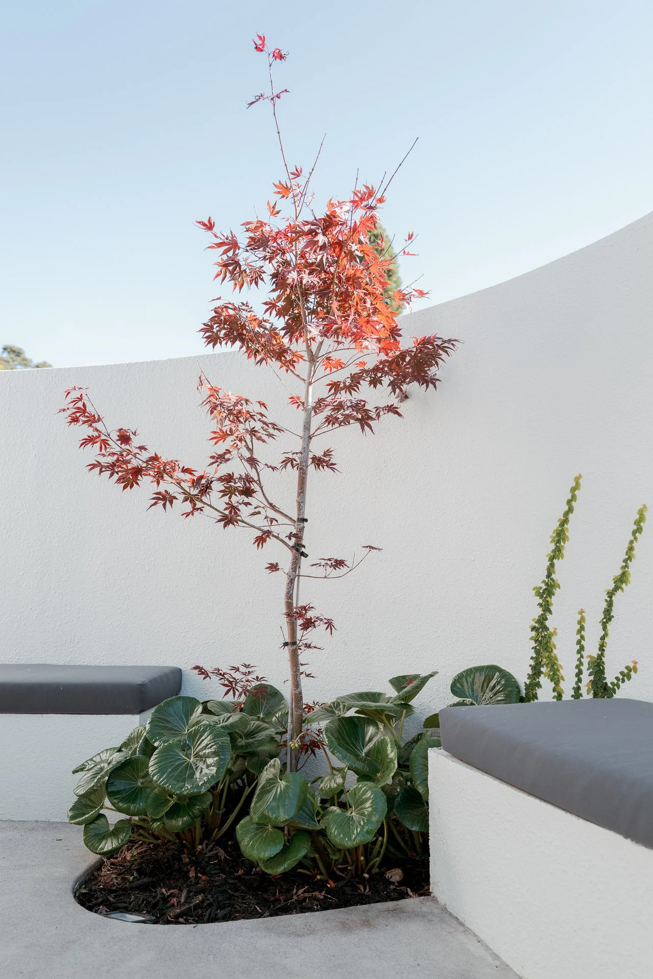 Garden Website-42.jpg