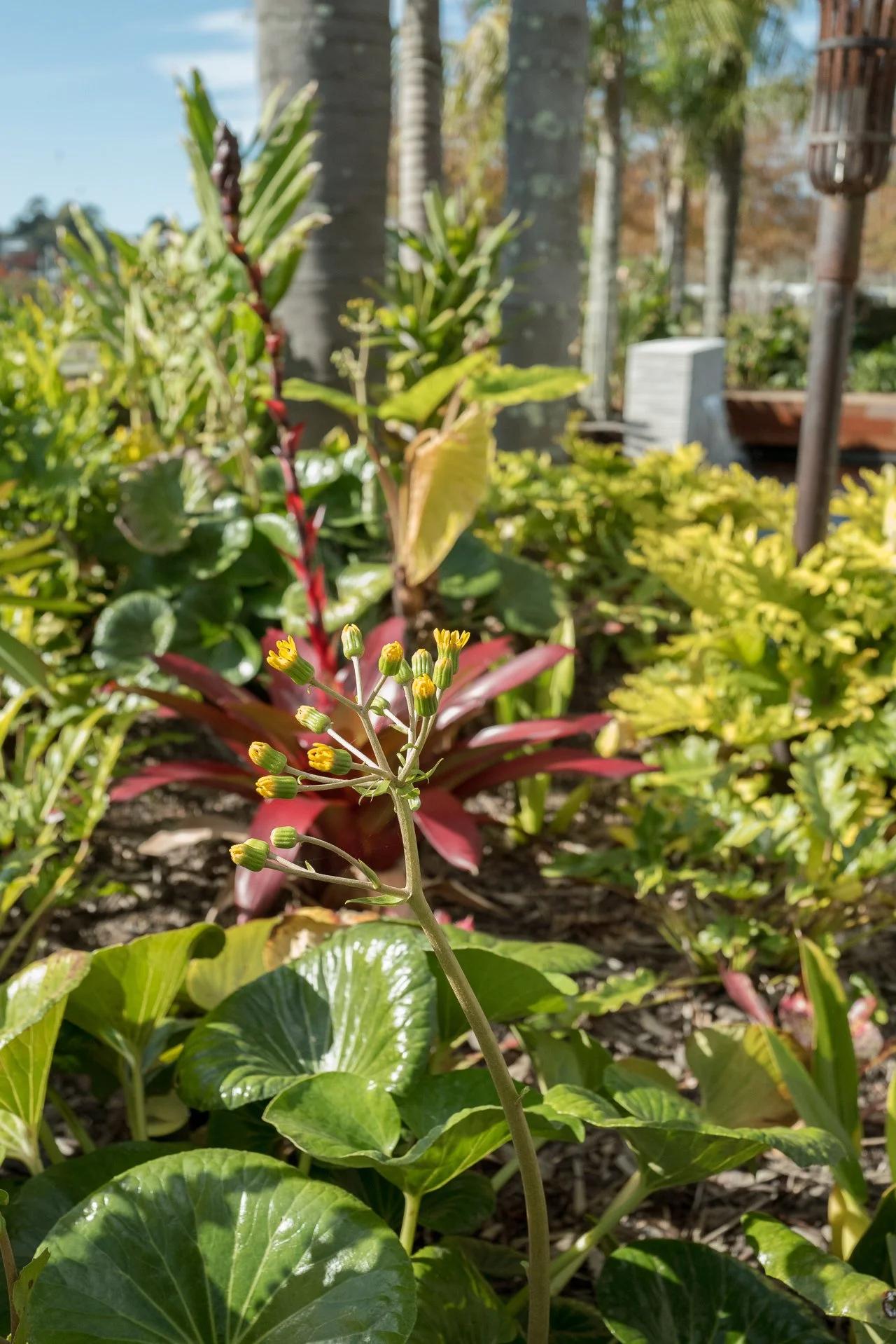 Garden Website-93.jpg