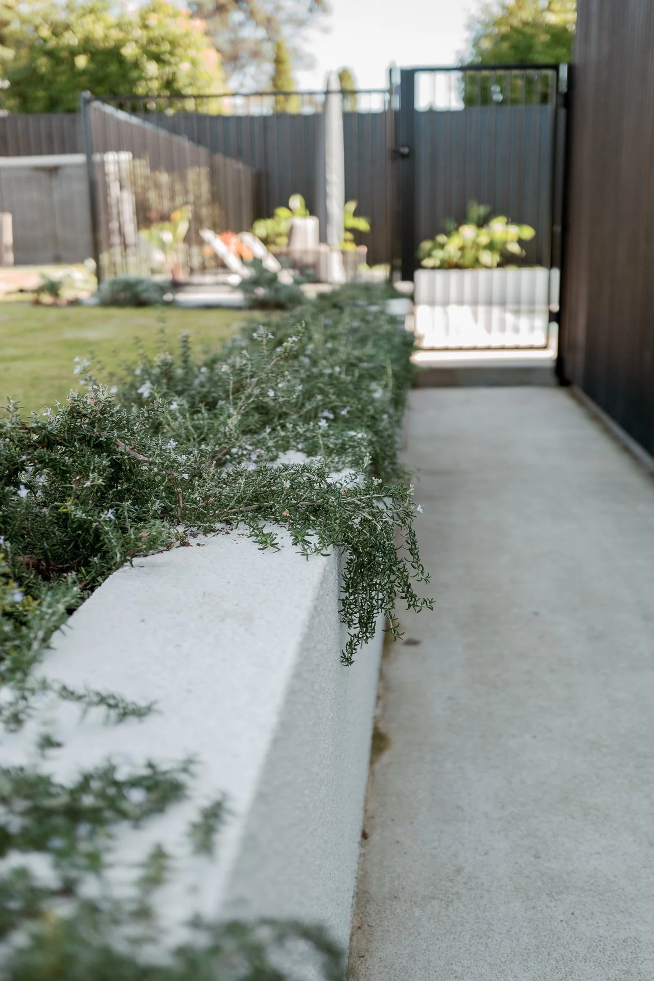 Garden Website-55.jpg