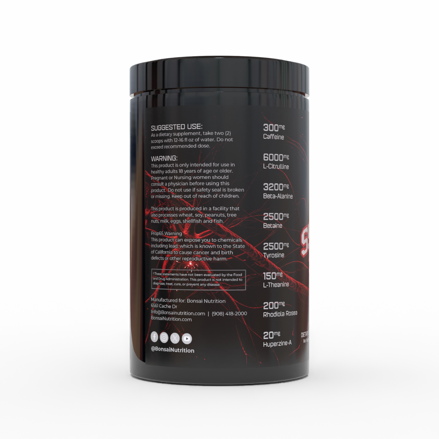 Synapse Surge Disclaimer Facts.png