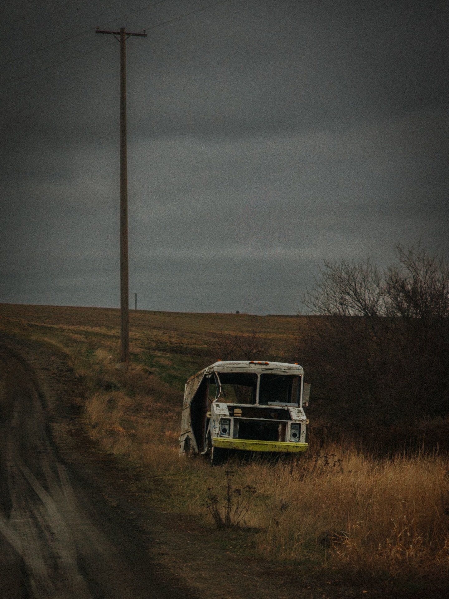 A few pictures I took today. Which is your favorite?