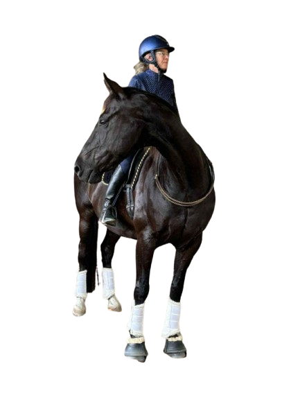 Louise Hillman and Lord Louie in Bridless Demonstration-Photo: Brenda Chapman