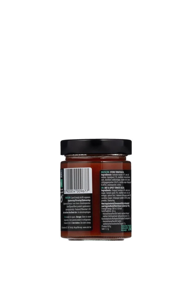almost illegal salsa - 2 bakside.jpg
