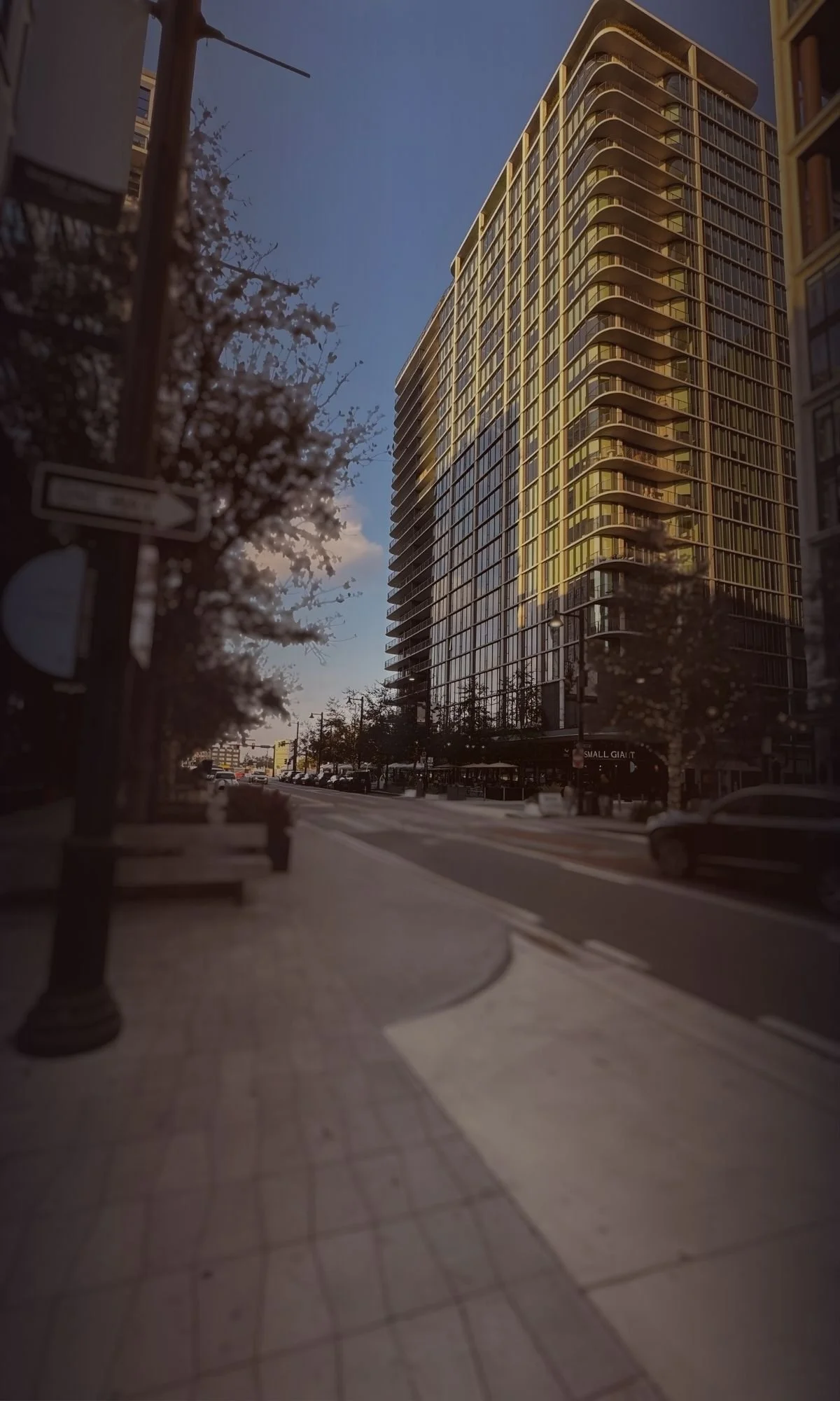 Mio_Lux_Tampa_1200x2000.jpg
